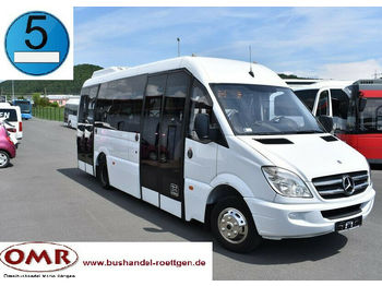 Minibús, Furgoneta de pasajeros Mercedes-Benz 516 CDI Sprinter/komplett saniert/Crafter: foto 1