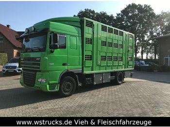 Camión transporte de ganado DAF 105 / 460 Menke 3 Stock: foto 1