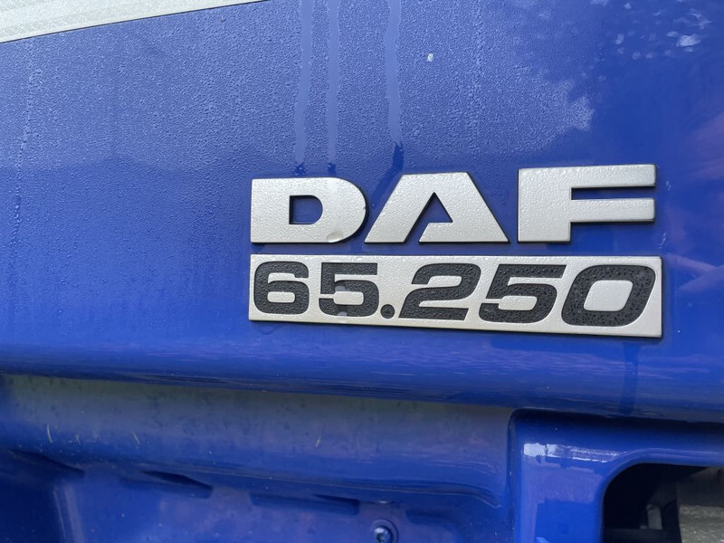 Camión portacontenedore/ Intercambiable DAF CF 65 Verhuiswagen 20/25 foot ! origineel 220.000 km: foto 16
