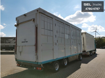 Camión transporte de ganado DAF XF 105.460  / Intarder / 4 Stock / KOMPLETT !: foto 4