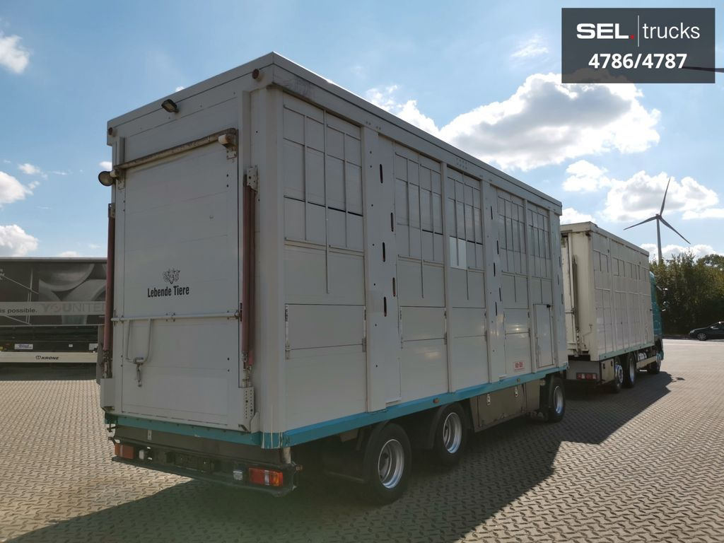 Camión transporte de ganado DAF XF 105.460  / Intarder / 4 Stock / KOMPLETT !: foto 4