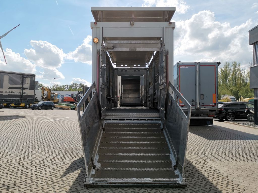 Camión transporte de ganado DAF XF 105.460  / Intarder / 4 Stock / KOMPLETT !: foto 26
