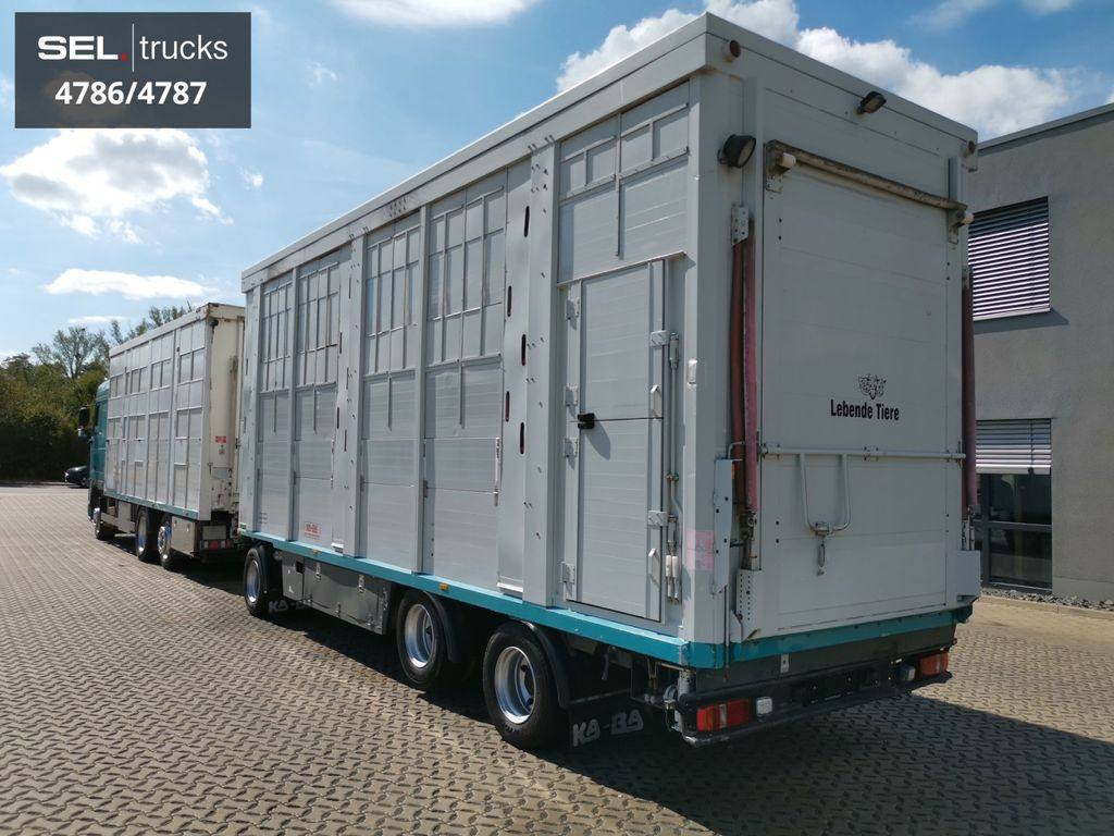 Camión transporte de ganado DAF XF 105.460  / Intarder / 4 Stock / KOMPLETT !: foto 6
