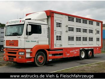 Camión transporte de ganado MAN TGA 26.350 Finkl Aufbau: foto 1