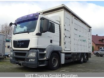 Camión transporte de ganado MAN TGX 26.440 LX Menke 3 Stock Hubdach: foto 1