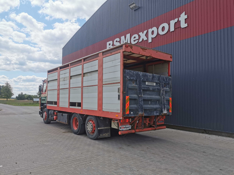 Camión transporte de ganado Scania 113 livestock truck: foto 6