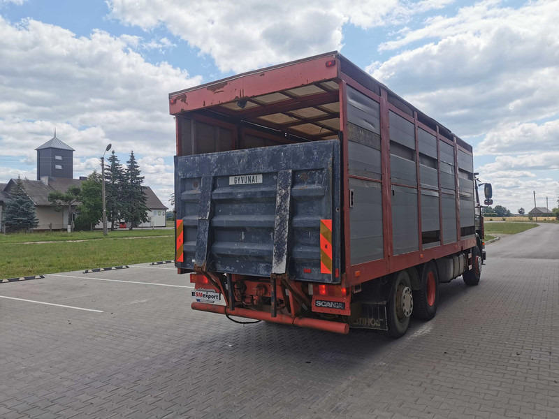 Camión transporte de ganado Scania 113 livestock truck: foto 4