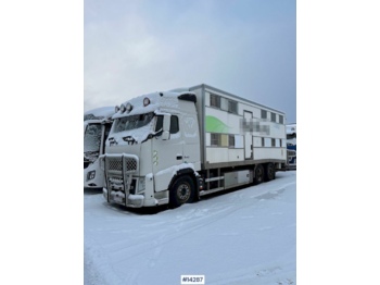 Camión transporte de ganado Volvo FH 13: foto 1