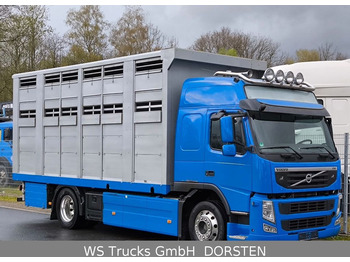 Camión transporte de ganado Volvo FM 360 Stehmann 2 Stock Hohe Gitter: foto 3