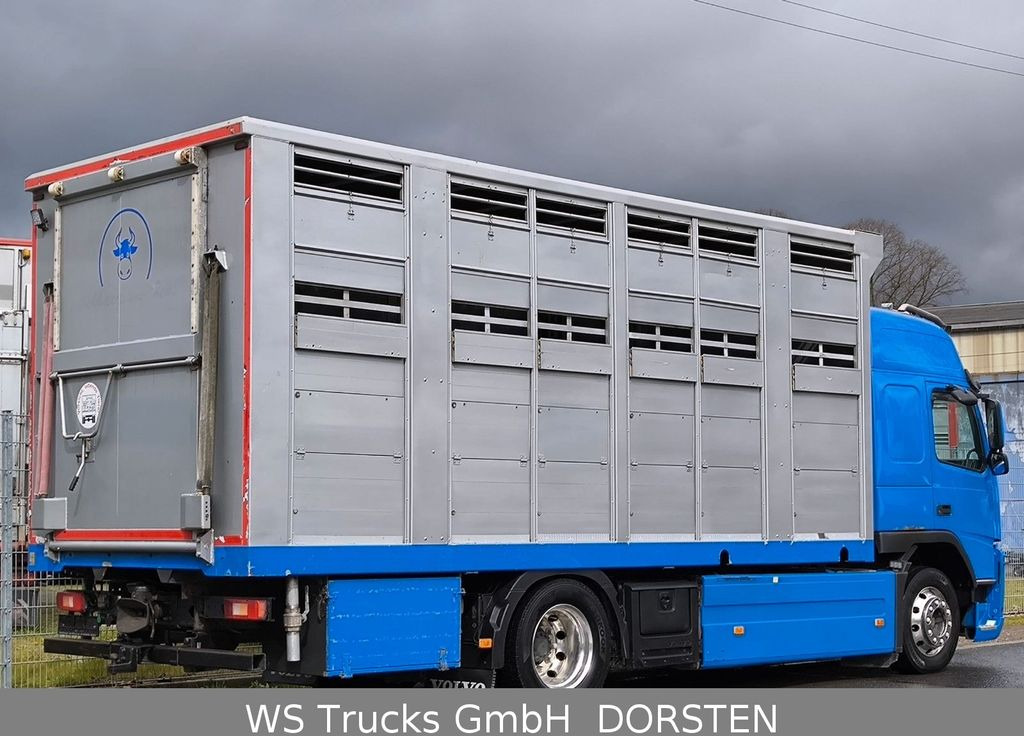 Camión transporte de ganado Volvo FM 360 Stehmann 2 Stock Hohe Gitter: foto 4