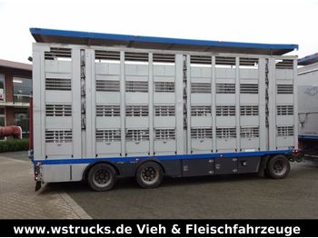 Remolque transporte de ganado Menke 4 Stock Ausahrbares Dach  Vollalu Typ 2: foto 1