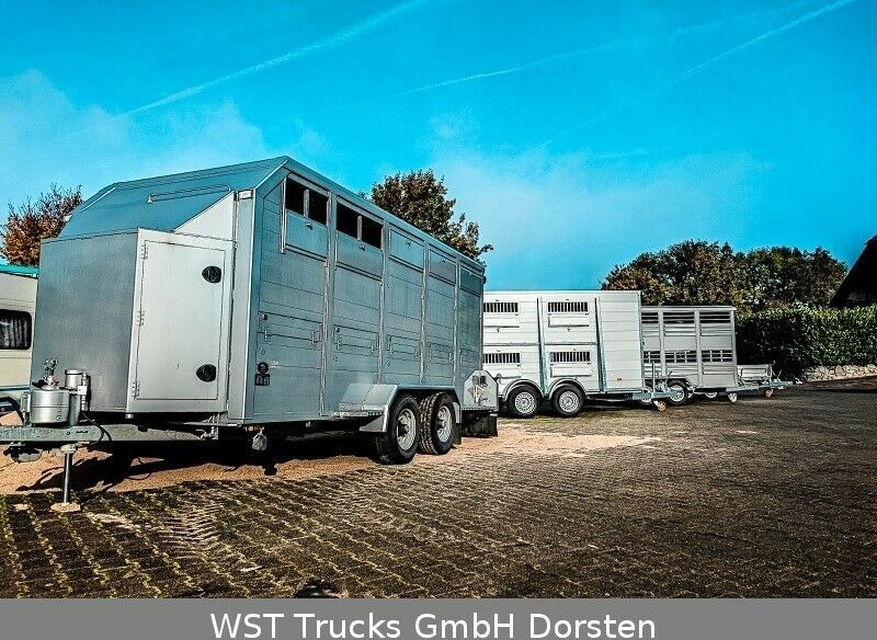 Remolque transporte de ganado nuevo Menke-Janzen Menke Tandem 3,5 to Vollalu " Neu" Viehanhänger: foto 20
