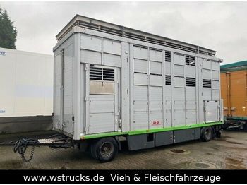 KABA 3 Stock  Hubdach Vollalu 7,30m  - Remolque transporte de ganado