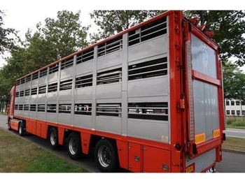 Semirremolque transporte de ganado Berdex OS.1227: foto 1