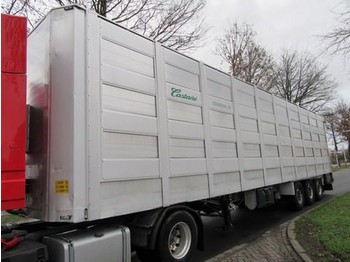 Semirremolque transporte de ganado Castane 3107S MONTULL: foto 1