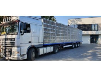 Semirremolque transporte de ganado KRONE SD: foto 1