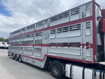 Semirremolque transporte de ganado Pezzaioli , 3 Stock , Viehtransporter  , Tränkeranlage, 2 Stück: foto 1
