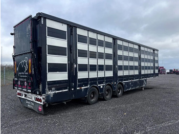 Semirremolque transporte de ganado Pezzaioli 4 stock 121,50m2: foto 4