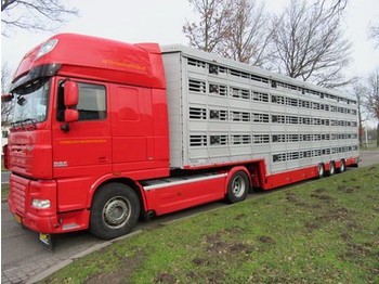 Semirremolque transporte de ganado nuevo Pezzaioli SBA**: foto 1