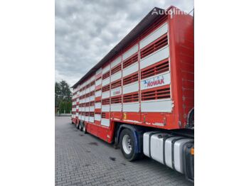 Semirremolque transporte de ganado Pezzaioli SBA31 5 poziomów: foto 2