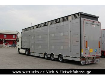 Semirremolque transporte de ganado Pezzaioli SBA31-SR  3 Stock  Vermietung: foto 1