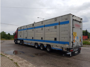 PEZZAIOLI  - Semirremolque transporte de ganado