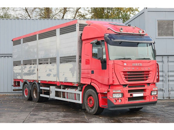 Camión transporte de ganado IVECO Stralis