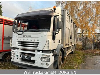 Camión transporte de ganado IVECO Stralis