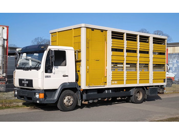 Camión transporte de ganado MAN 12.224