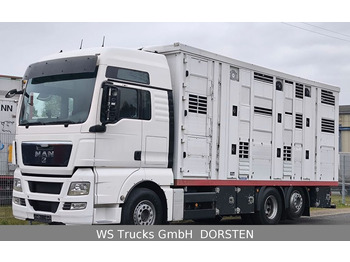 Camión transporte de ganado MAN TGX 26.440