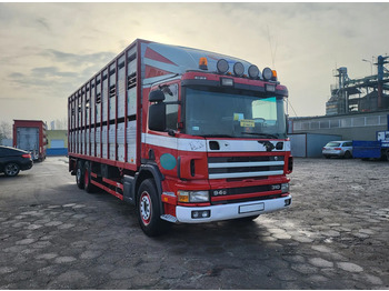 Camión transporte de ganado SCANIA 94