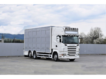Camión transporte de ganado SCANIA R 500
