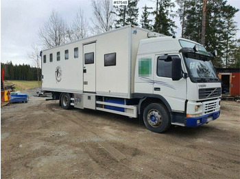Camión transporte de ganado VOLVO FM7