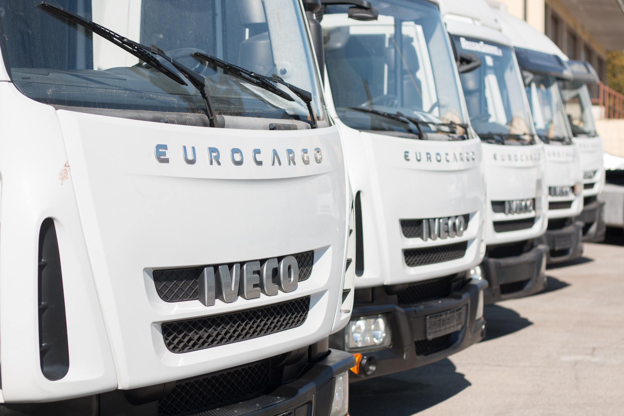 ROSSINI SERVICE SRL undefined: foto 3