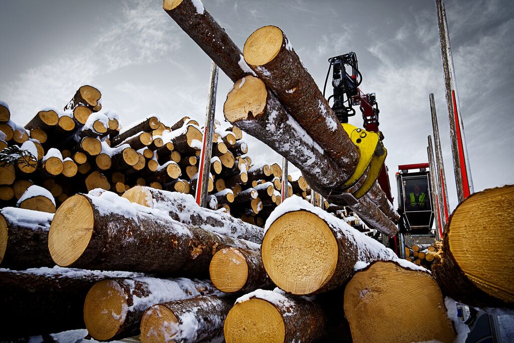 Tractoaredepadure.ro - Maquinaria forestal undefined: foto 8