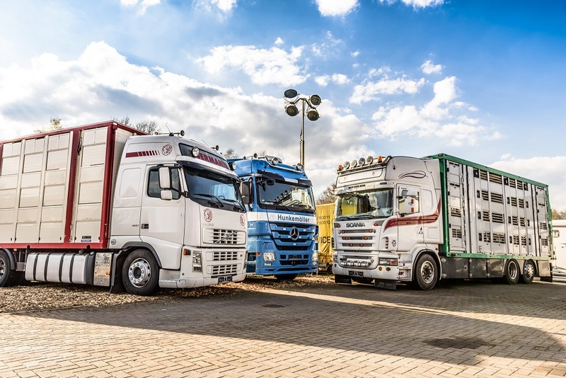 WS Trucks GmbH - Remolques - 2-eje undefined: foto 1