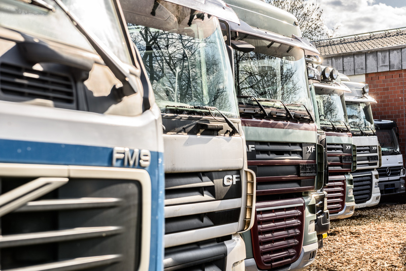 WS Trucks GmbH - Camiones undefined: foto 3