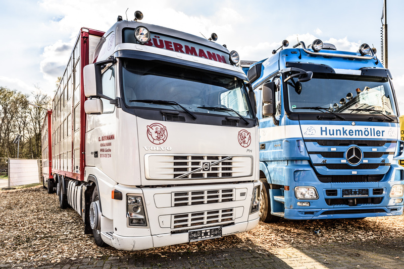 WS Trucks GmbH - Remolques - 2-eje undefined: foto 2