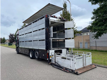 Camión transporte de ganado DAF XF 460 2017 berdex 3 lagen varkens: foto 4