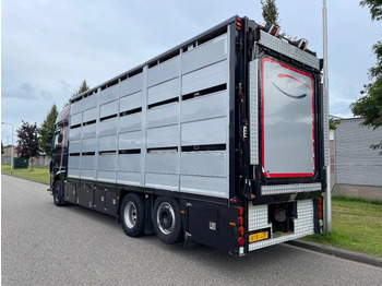 Camión transporte de ganado DAF XF 460 2017 berdex 3 lagen varkens: foto 2