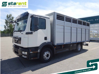 Camión para caballos MAN TGM 15.290