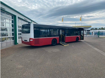 Autobús urbano MAN A 21 Lions City  KLIMA  EURO 6  ZF EcoLife   2x: foto 4