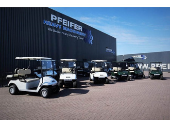 Carrito de golf BRINGO