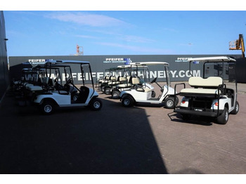 Carrito de golf BRINGO DG-C2 Valid Inspection, *Guarantee! Dutch R: foto 4