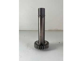 : imagen de cabecera