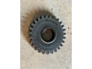 : imagen de cabecera