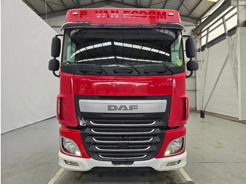 Cabeza tractora DAF XF 460 SPACECAB / RETARDER /MANUEL: foto 3