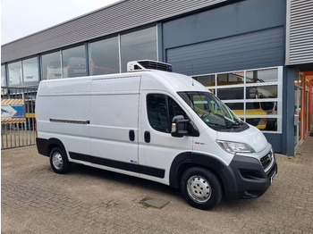 Furgoneta frigorifica FIAT Ducato Maxi