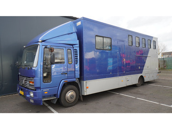 Leasing de Volvo FL 6-9 HORSE TRANSPORT 341.000KM MANUAL GEARBOX Volvo FL 6-9 HORSE TRANSPORT 341.000KM MANUAL GEARBOX: foto 3 Leasing de Volvo FL 6-9 HORSE TRANSPORT 341.000KM MANUAL GEARBOX Volvo FL 6-9 HORSE TRANSPORT 341.000KM MANUAL GEARBOX: foto 3