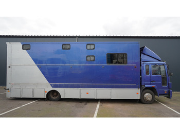 Leasing de Volvo FL 6-9 HORSE TRANSPORT 341.000KM MANUAL GEARBOX Volvo FL 6-9 HORSE TRANSPORT 341.000KM MANUAL GEARBOX: foto 2 Leasing de Volvo FL 6-9 HORSE TRANSPORT 341.000KM MANUAL GEARBOX Volvo FL 6-9 HORSE TRANSPORT 341.000KM MANUAL GEARBOX: foto 2